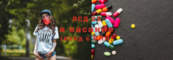 эйфоретик Богданович