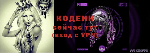 эйфоретик Богданович