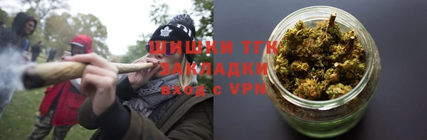 эйфоретик Богданович
